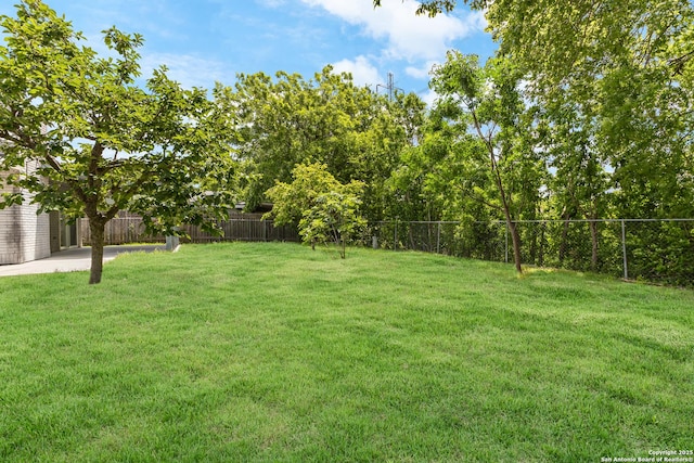 view of yard featuring a patio area