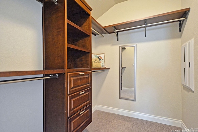 565 Rosemellow, New Braunfels, TX 78132 - walk in closet with carpet flooring and electric panel
