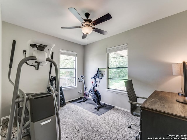 workout room with carpet floors, baseboards, and ceiling fan