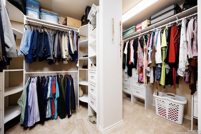 spacious closet featuring carpet