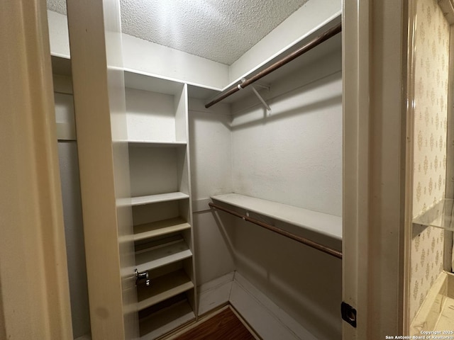 view of walk in closet