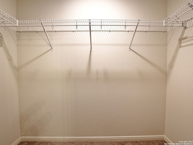 11719 Claudette St, San Antonio, TX 78252 - spacious closet with carpet