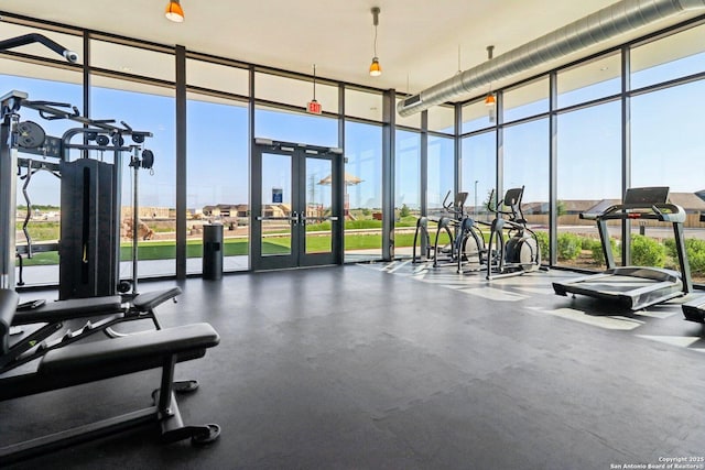 8911 Rancher Pl, Seguin, TX 78155 - workout area featuring expansive windows and french doors