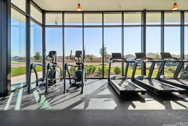 8911 Rancher Pl, Seguin, TX 78155 - gym featuring expansive windows