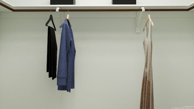 10249 Ickham Mill Ct, San Antonio, TX 78254 - view of spacious closet