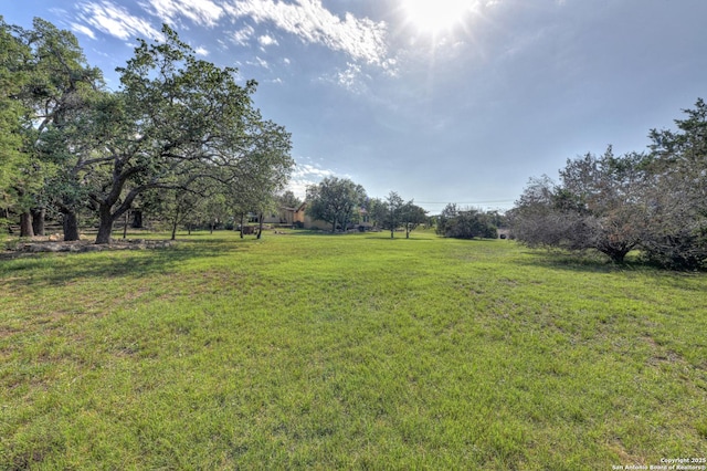 211 Comal Run, Bulverde, TX 78163 - view of green lawn
