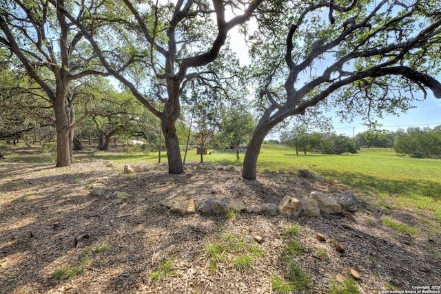 211 Comal Run, Bulverde, TX 78163 - view of grassy yard