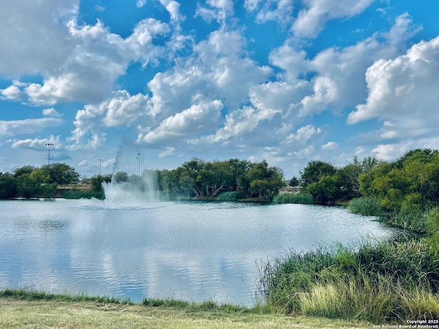 11715 Claudette St, San Antonio, TX 78252 - water view