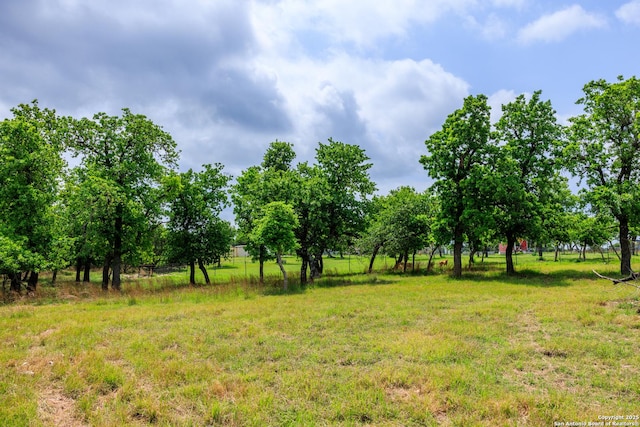 2050 Adj Ln, Fredericksburg, TX 78624 - view of yard