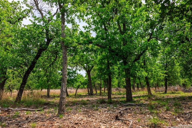 2050 Adj Ln, Fredericksburg, TX 78624 - view of local wilderness