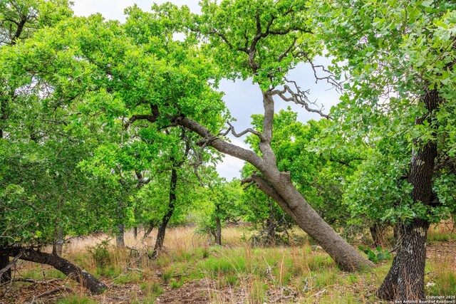 2050 Adj Ln, Fredericksburg, TX 78624 - view of nature