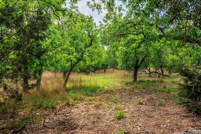 2050 Adj Ln, Fredericksburg, TX 78624 - view of wooded area