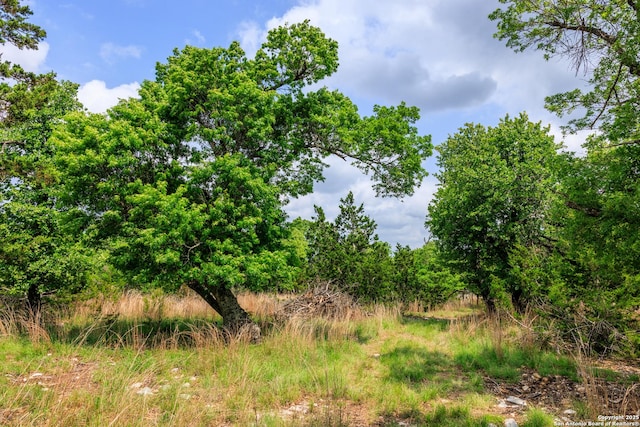 2050 Adj Ln, Fredericksburg, TX 78624 - view of undeveloped land
