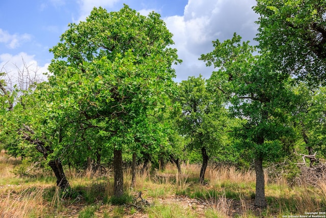 2050 Adj Ln, Fredericksburg, TX 78624 - view of local wilderness