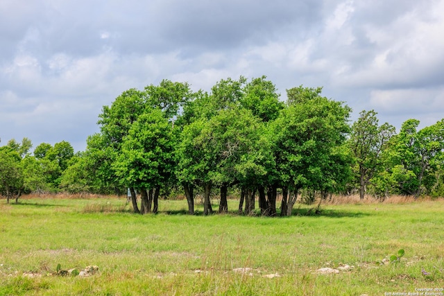 2050 Adj Ln, Fredericksburg, TX 78624 - view of local wilderness with rural landscape