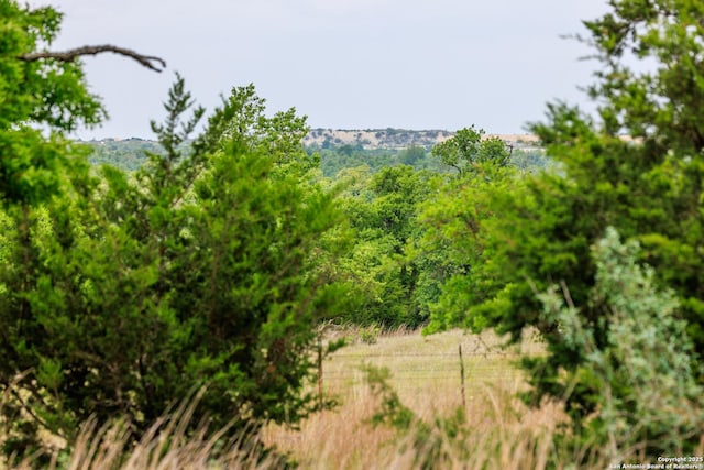 2050 Adj Ln, Fredericksburg, TX 78624 - view of wooded area