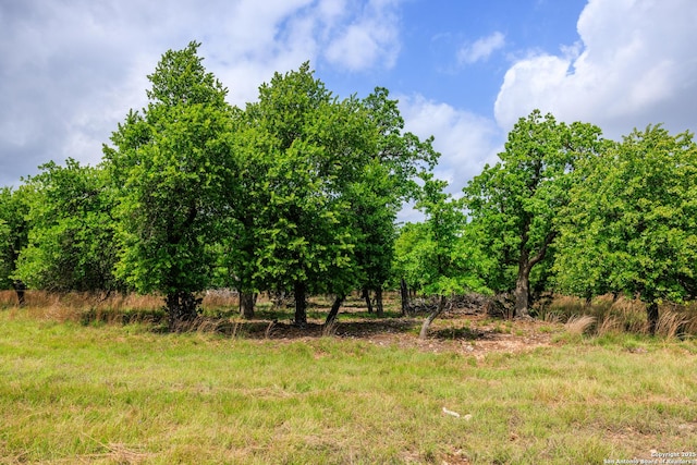 2050 Adj Ln, Fredericksburg, TX 78624 - view of undeveloped land