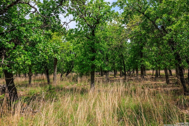 2050 Adj Ln, Fredericksburg, TX 78624 - view of local wilderness