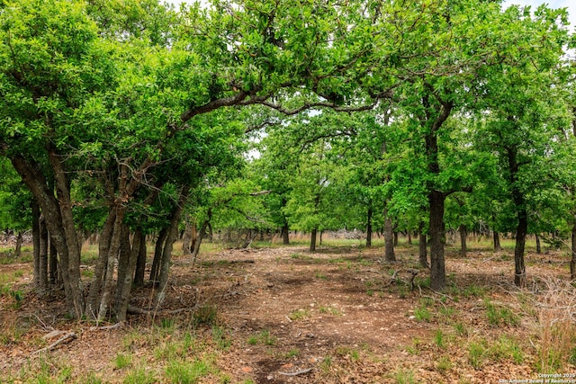 2050 Adj Ln, Fredericksburg, TX 78624 - view of nature
