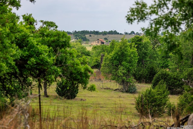 2050 Adj Ln, Fredericksburg, TX 78624 - view of undeveloped land with rural landscape