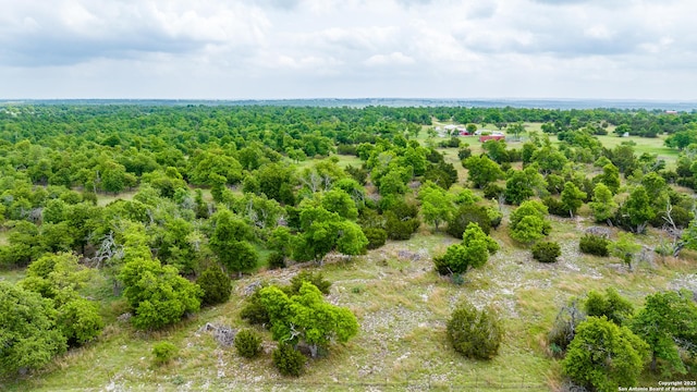 2050 Adj Ln, Fredericksburg, TX 78624 - bird's eye view of a forest