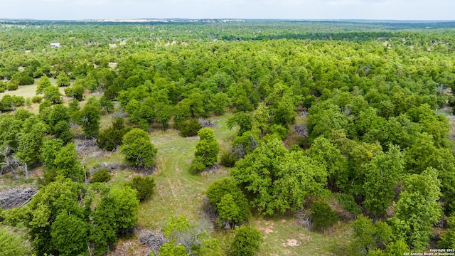 2050 Adj Ln, Fredericksburg, TX 78624 - drone / aerial view of a heavily wooded area