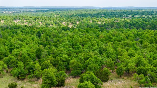 2050 Adj Ln, Fredericksburg, TX 78624 - drone / aerial view of a forest