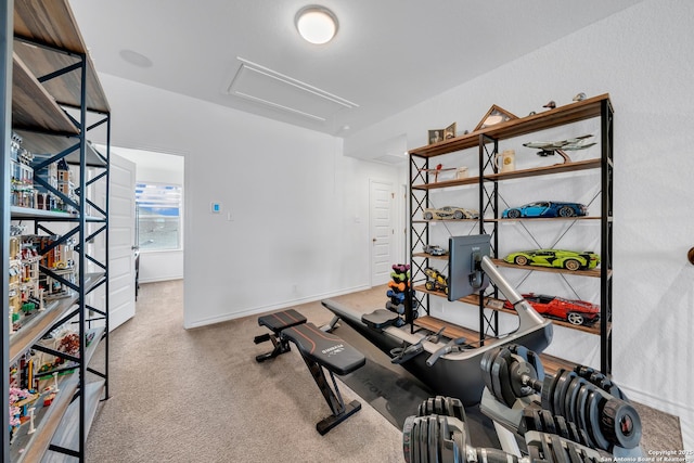 11109 Molly Run, San Antonio, TX 78254 - workout room with carpet and baseboards