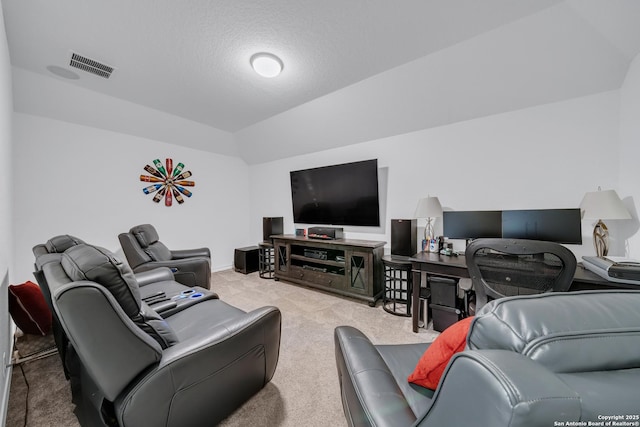 11109 Molly Run, San Antonio, TX 78254 - living area with carpet flooring, lofted ceiling, and a textured ceiling