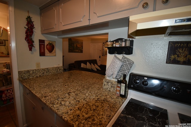 8401 New Braunfels Unit 125, San Antonio, TX 78209 - kitchen with under cabinet range hood, range, light stone counters, and a peninsula