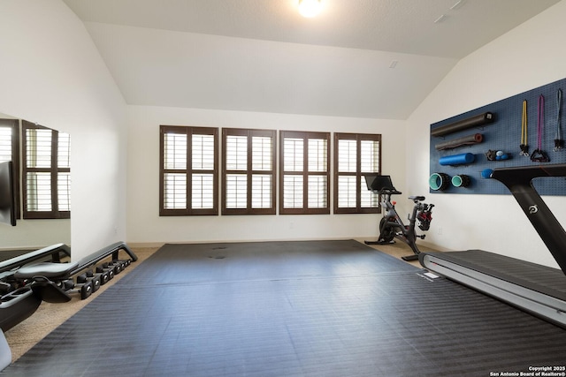 1041 Water Oak, Schertz, TX 78154 - exercise room featuring vaulted ceiling, healthy amount of natural light, and carpet