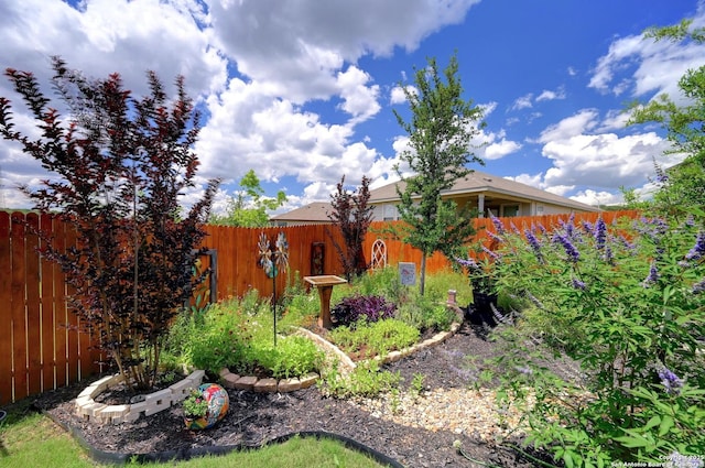 10227 Azealia Way, Boerne, TX 78006 - view of fenced backyard