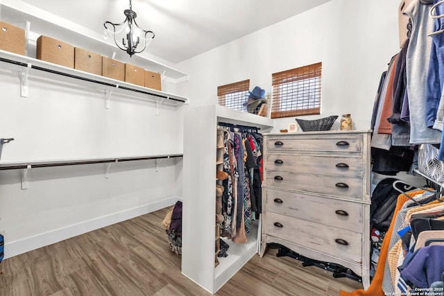 740 Sharp Spgs, Bulverde, TX 78163 - walk in closet featuring wood finished floors