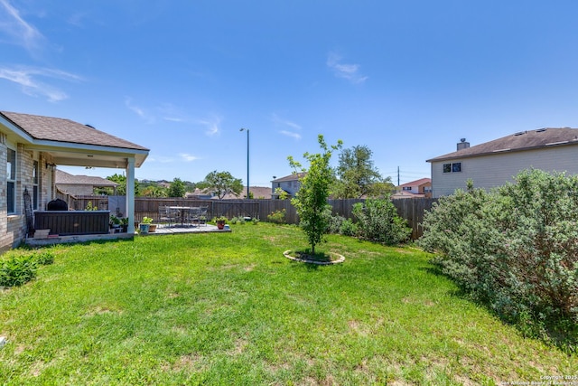 view of yard featuring a patio area