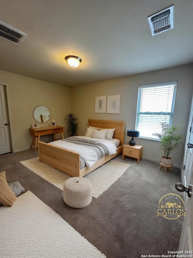 6635 Cibola Frst, San Antonio, TX 78233 - bedroom featuring carpet floors and baseboards