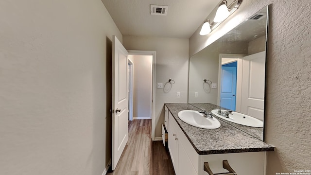 13778 Bradford Park, San Antonio, TX 78253 - bathroom featuring wood finished floors, vanity, a textured wall, and baseboards