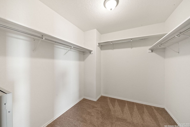 7923 Martinelli, San Antonio, TX 78253 - spacious closet featuring carpet flooring
