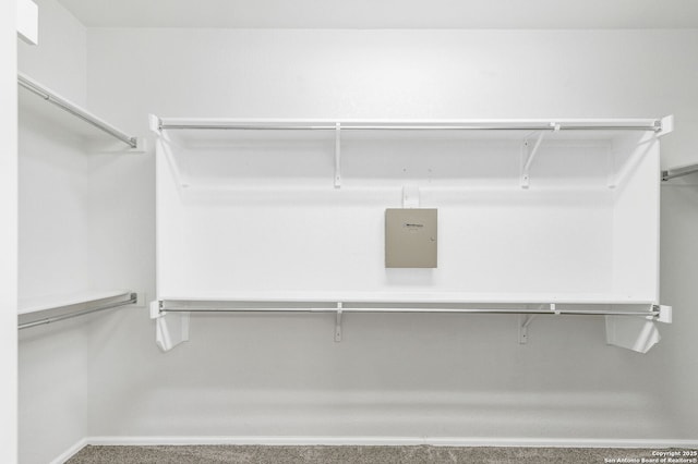 4602 Fort Boggy, San Antonio, TX 78253 - spacious closet with carpet