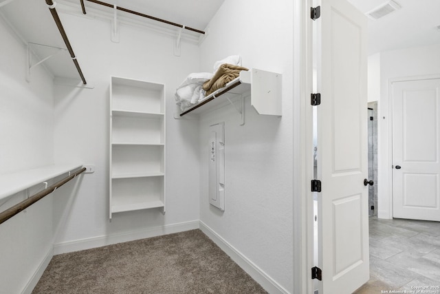5015 Country Nest, San Antonio, TX 78253 - walk in closet with carpet flooring