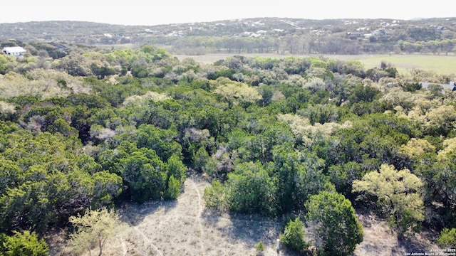 439 Cielo Vis, Canyon Lake, TX 78133