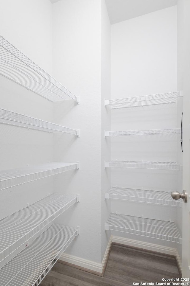 spacious closet featuring wood finished floors