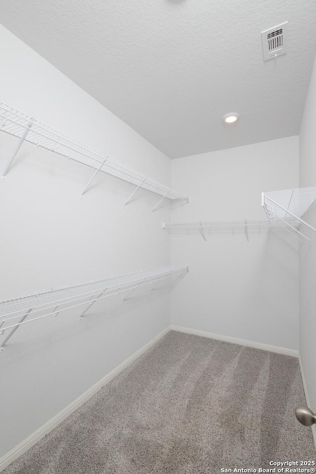 walk in closet featuring carpet