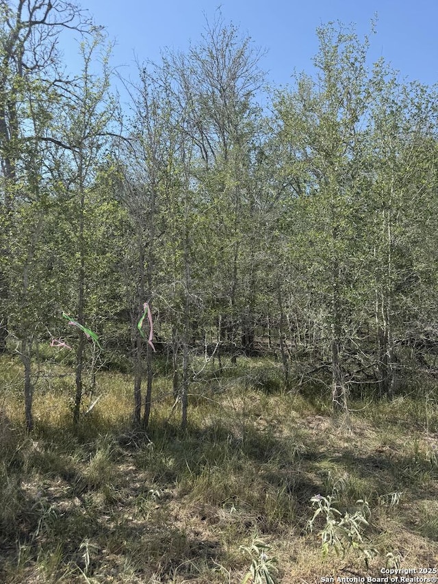 421 Kerr Ave, Sutherland Springs, TX 78161