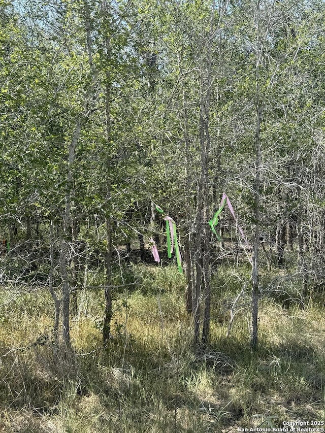 421 Kerr Ave, Sutherland Springs, TX 78161