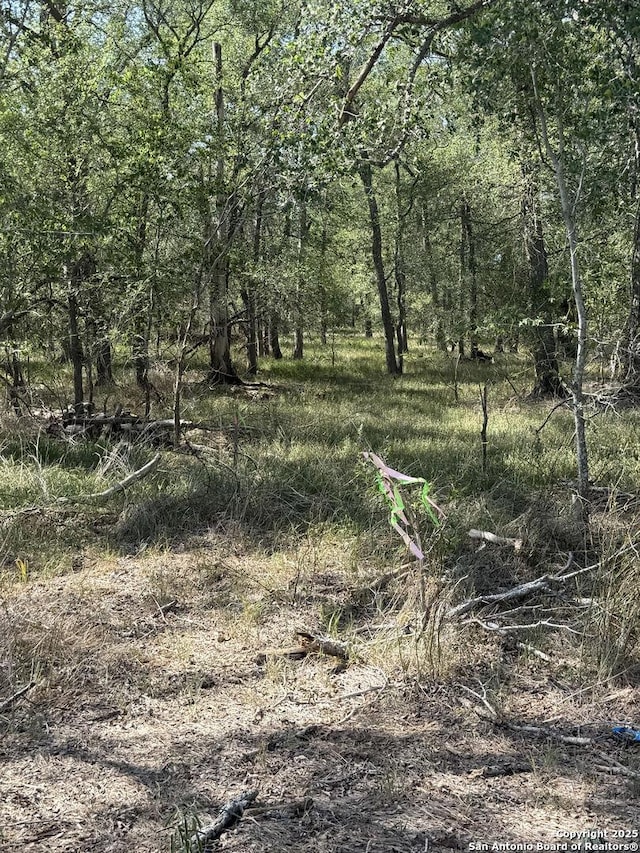 421 Kerr Ave, Sutherland Springs, TX 78161