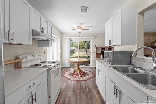 9616 Sugarloaf, San Antonio, TX 78245 - kitchen featuring white electric range, under cabinet range hood, stainless steel microwave, a sink, and dark wood-type flooring