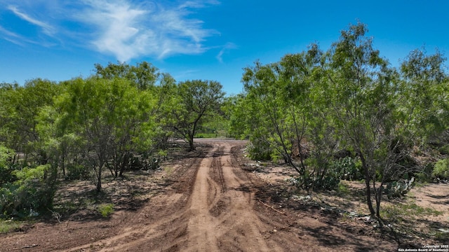 13704 Ladd Rd, Atascosa, TX 78002