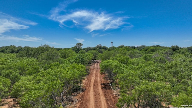 13704 Ladd Rd, Atascosa, TX 78002
