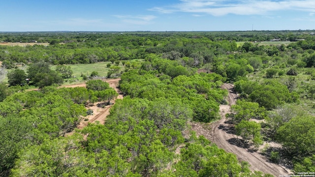 13704 Ladd Rd, Atascosa, TX 78002