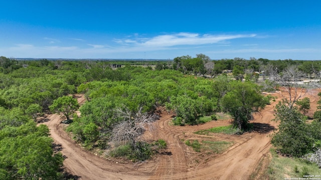 13704 Ladd Rd, Atascosa, TX 78002